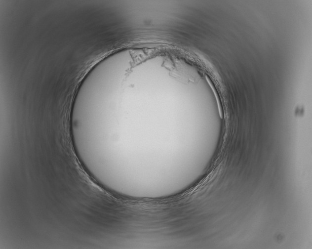 X0000116580385201001211309