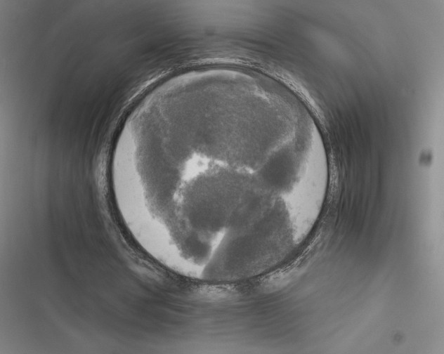 X0000116580386201001211309