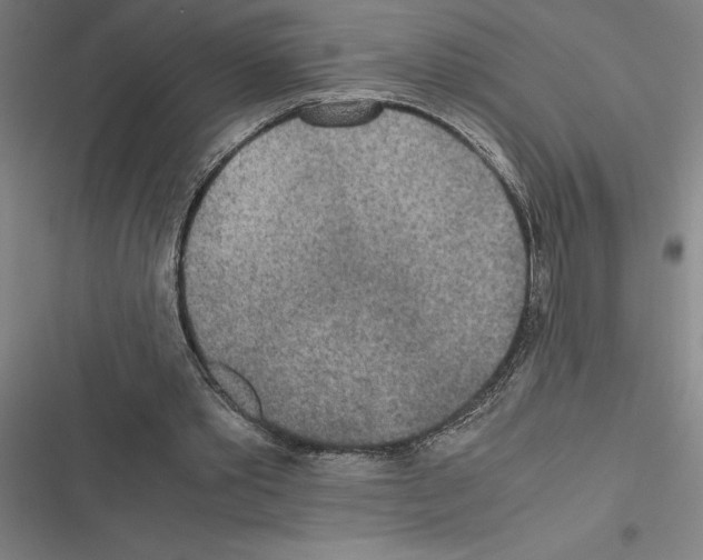 X0000116580389201001211309