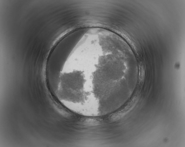 X0000116580390201001211309