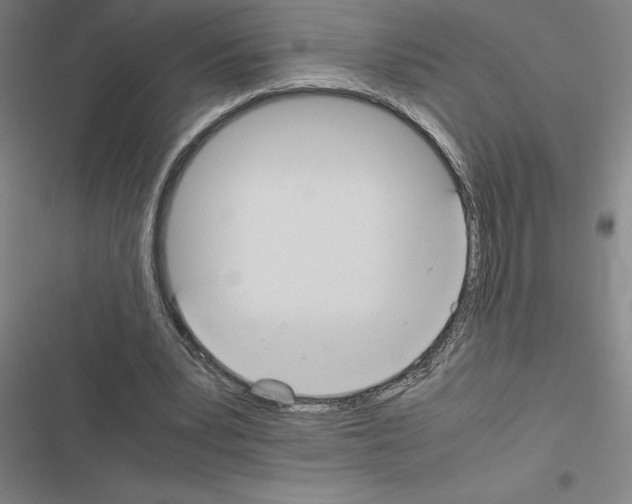 X0000116580391201001211309