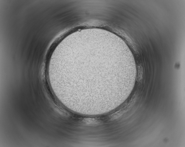 X0000116580392201001211309