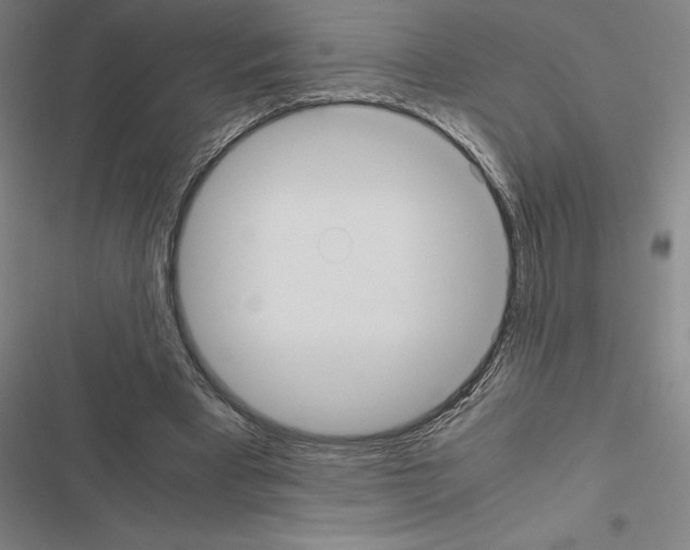 X0000116580393201001211309