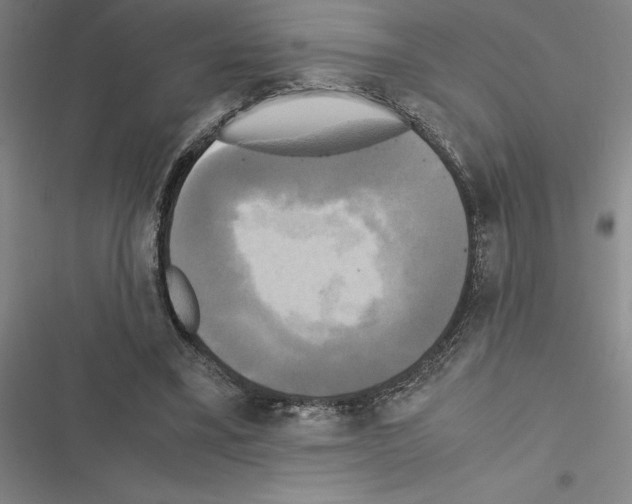 X0000116580395201001211309