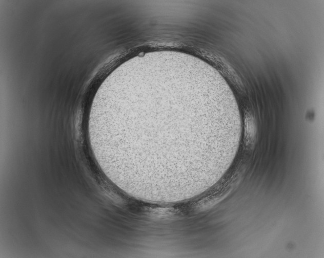X0000116580396201001211309