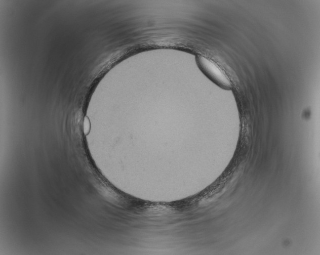 X0000116580397201001211309