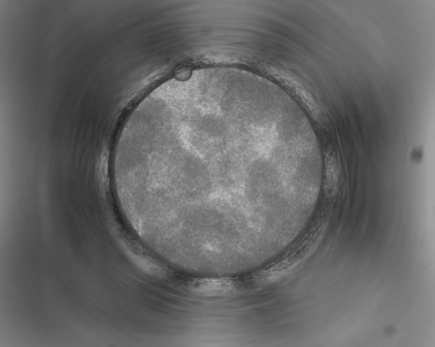 X0000116580398201001211309