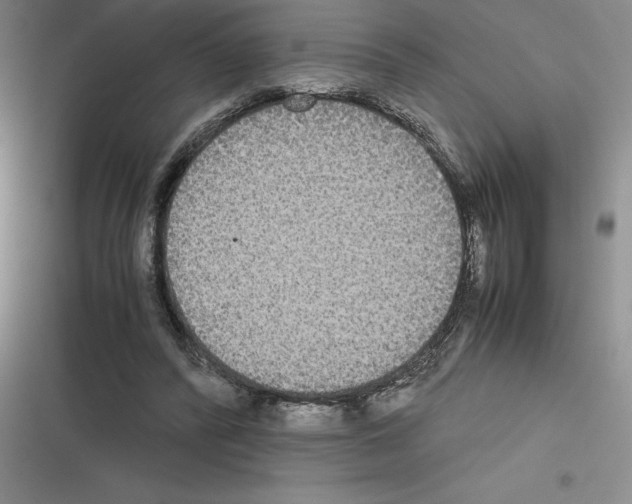 X0000116580400201001211309