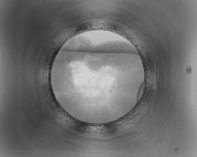 X0000116580401201001211309