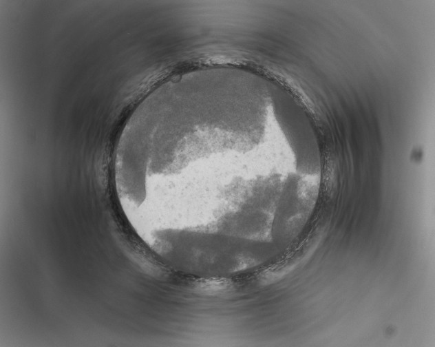 X0000116580402201001211309