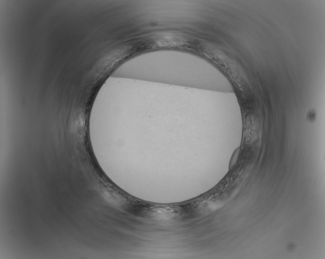 X0000116580405201001211309