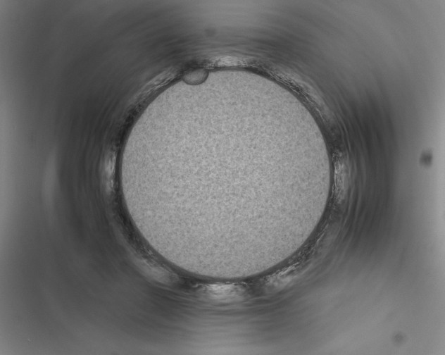 X0000116580406201001211309