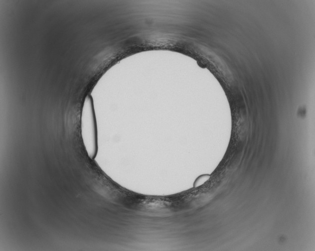 X0000116580407201001211309