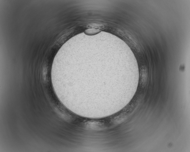 X0000116580408201001211309