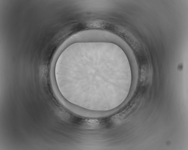 X0000116580409201001211309