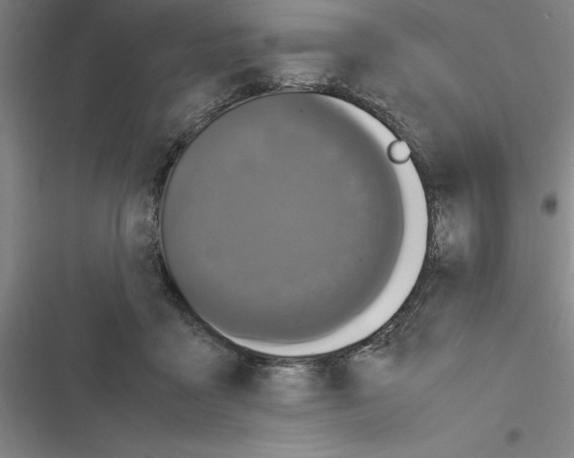 X0000116580411201001211309