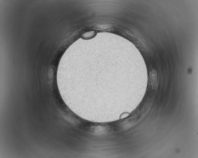 X0000116580412201001211309