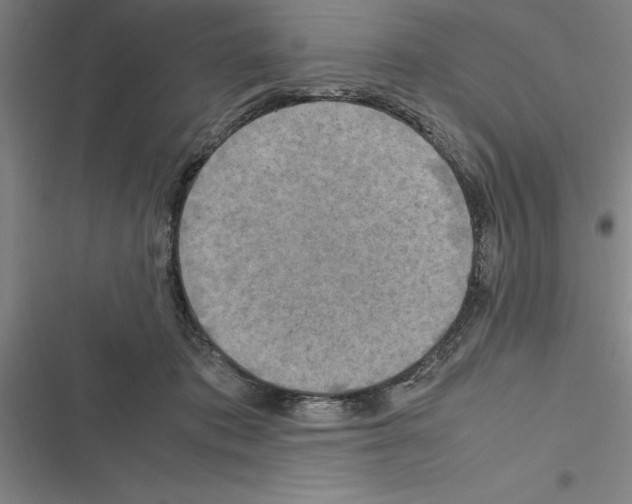 X0000116580413201001211309