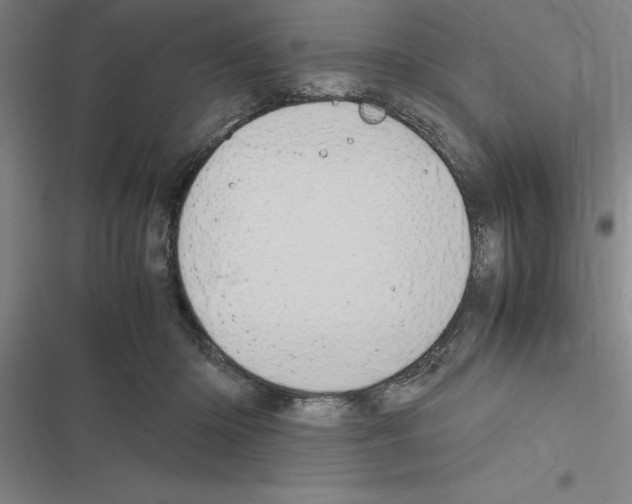 X0000116580414201001211309