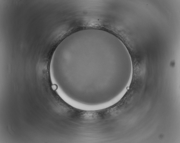 X0000116580415201001211309