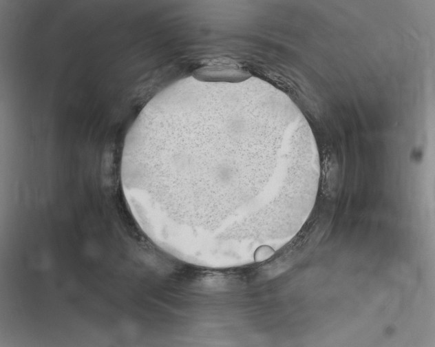 X0000116580416201001211309