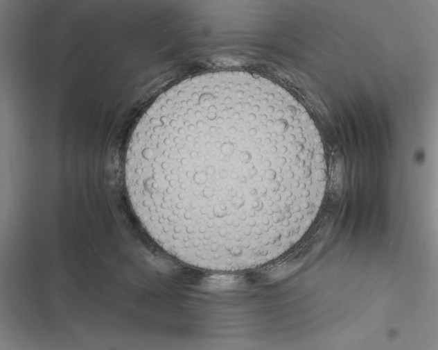 X0000116580418201001211308