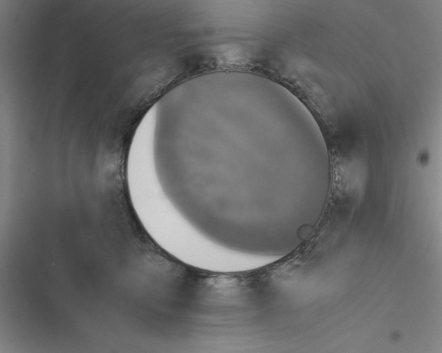 X0000116580419201001211308