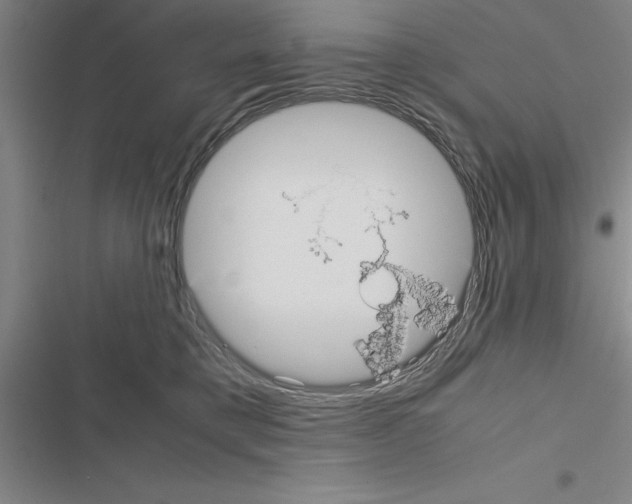 X0000116580421201001211308