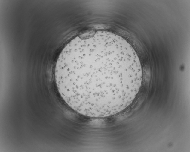 X0000116580422201001211308