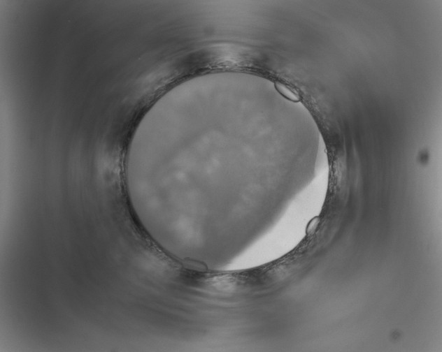 X0000116580423201001211308