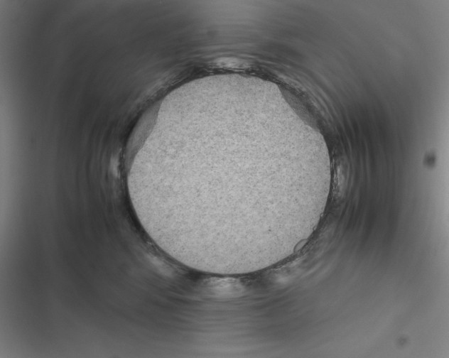 X0000116580424201001211308