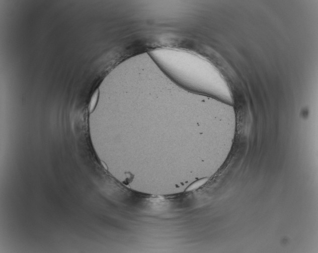 X0000116580425201001211308