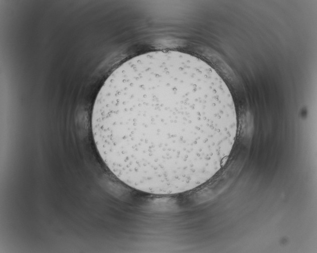 X0000116580426201001211308