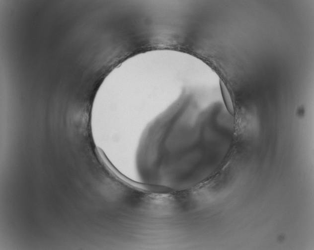 X0000116580427201001211308