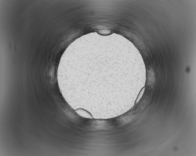 X0000116580428201001211308