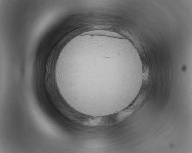 X0000116580430201001211308