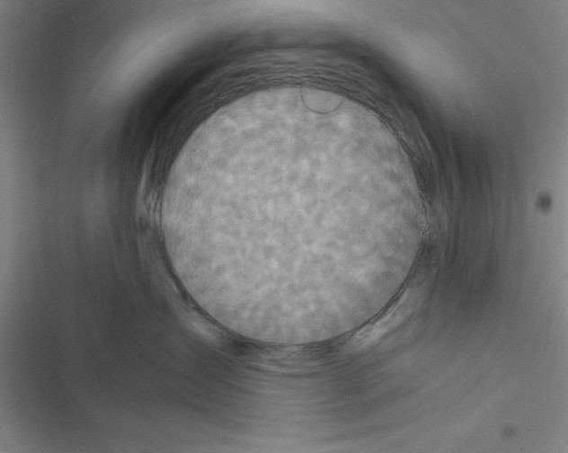 X0000116580431201001211308