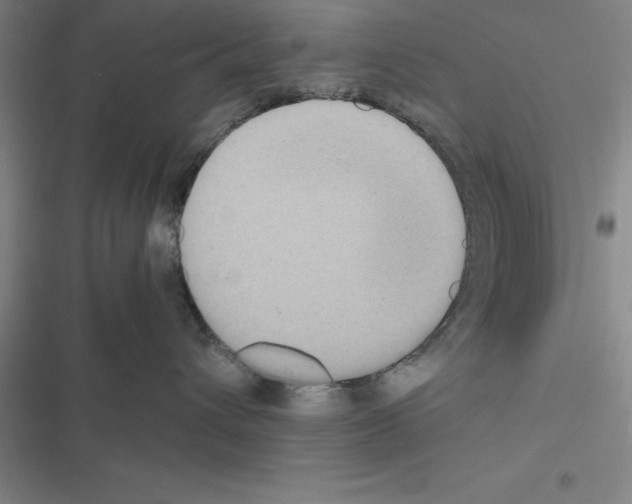 X0000116580432201001211308