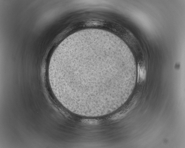 X0000116580435201001211308