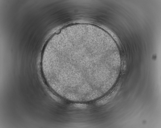 X0000116580437201001211308