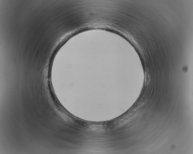 X0000116580438201001211308