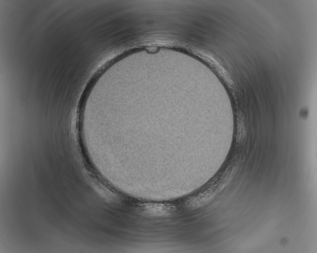 X0000116580439201001211308