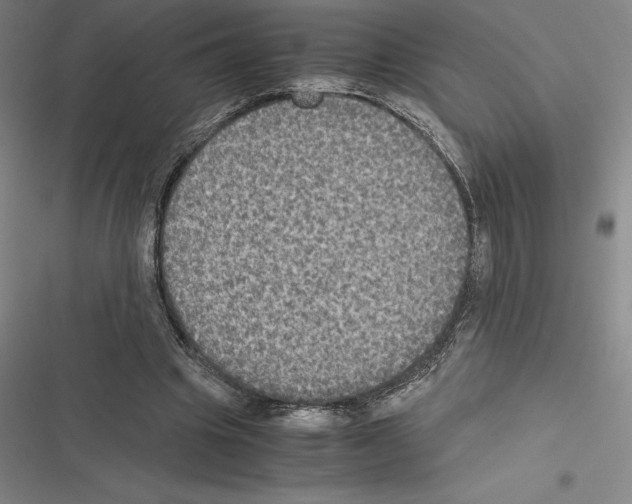 X0000116580441201001211308