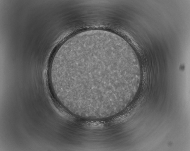 X0000116580443201001211308