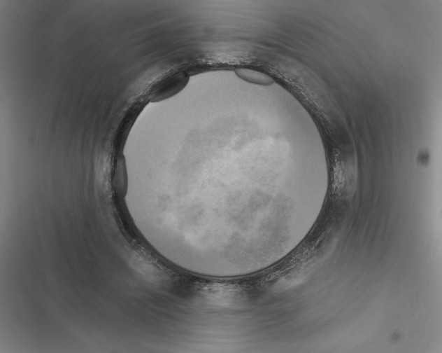 X0000116580444201001211308