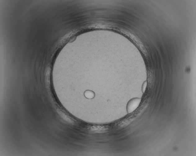 X0000116580445201001211308