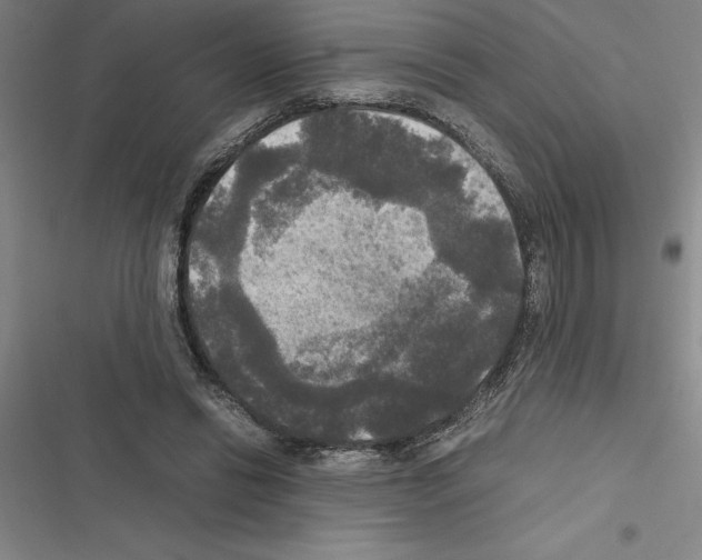 X0000116580446201001211308