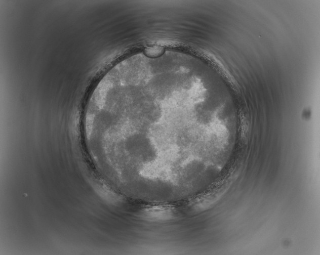 X0000116580447201001211308