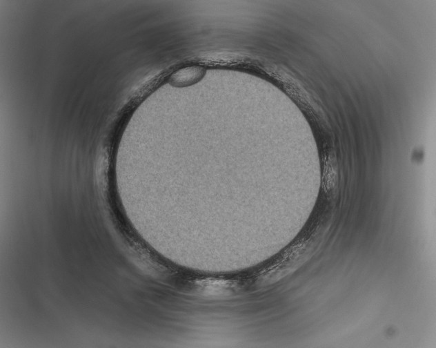 X0000116580448201001211308