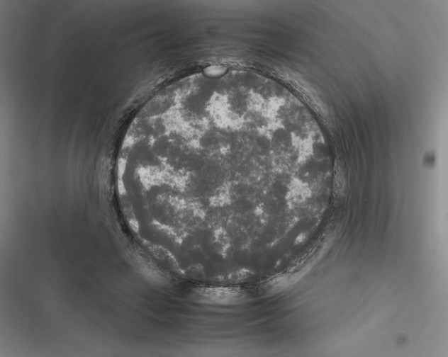 X0000116580449201001211308
